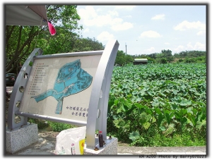 2009白河蓮花季vs水蓮公園