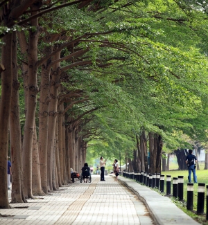 高雄美術館隨拍...