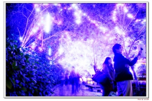 月津港   夜晚花燈景色