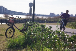 多次後鏡下的淡水