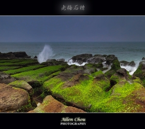 陰天的老梅綠石槽