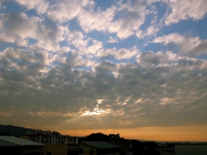 今日的夕陽真美~~