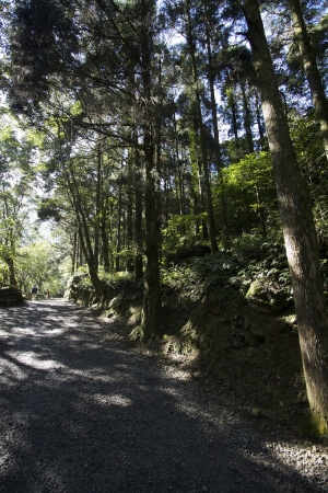 小 j 滿月圓走走(累)