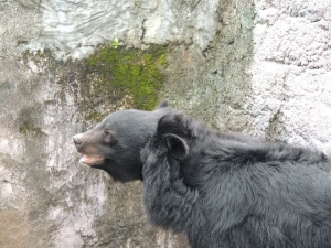 練拍誤打誤撞到了動物園