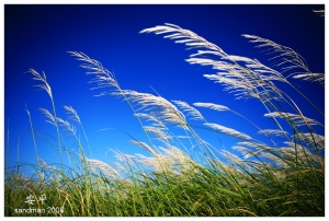 跟sandman出來玩36......隨拍”停滯”