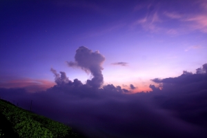 原住民部落茶園之旅