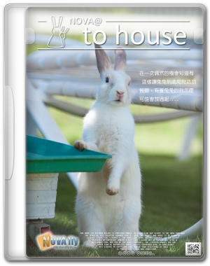 兔兔的樂園 - 兔子餐廳