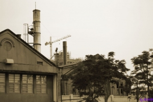 台中隨處拍（圖多）