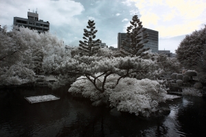 盛夏.凜冽.紅外線