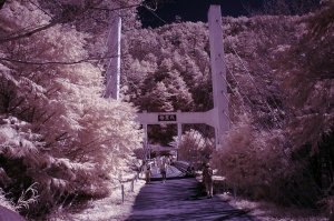 2012/2/15~夏天的武陵