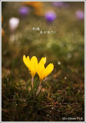 春天到了之一 (一張流)