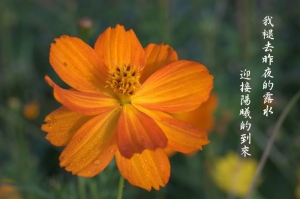 迎向美好的每一天