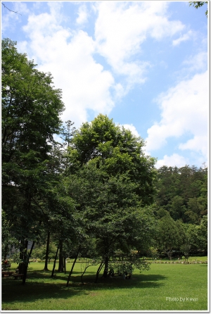 【當李小妹遇見了惠蓀林場】