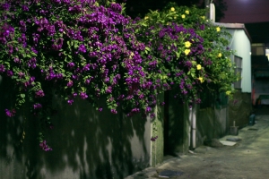 凌晨的自助新村