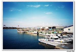 北海道旅拍 by Fuji Natura Black F1.9