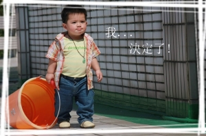 洋洋流浪記~
