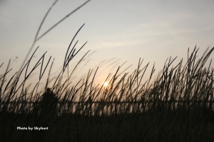 風吹草動(新竹南寮)