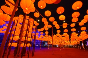 新竹燈會之"燈籠看成柿子"