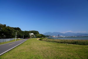 ⁂又見藍藍香⁂ 五股溼地