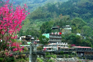 雪霸農場［一］－清泉