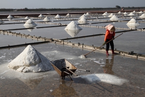 2013 井仔腳鹽田 曬鹽人 … by DW