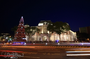2013年溫馨關懷平安主聖誕樹點燈(一張)