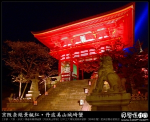 京都賞楓-賞夜楓【清水寺】