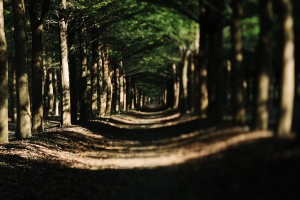 嘎嘎~快樂女孩的另一面~~