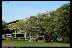 2011年的回顧與2012的展望 ... By Tony