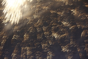 EF-S 55-250mm 之手殘抖到一個不行