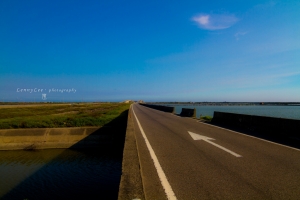 夕燒...高興教學搖黑卡 by Lenny