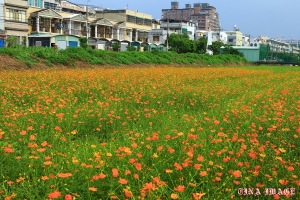 2011玩美橋頭~