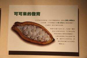 喜歡巧克力嗎 進來看看