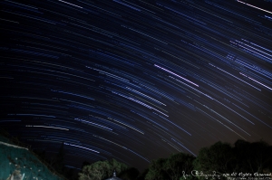 2011 年的首 8 小時