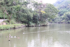新竹北埔綠世界生態農場