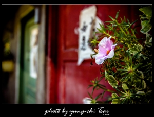 遲來的四四南村&攝影展