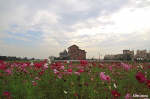 田邊波斯隨拍