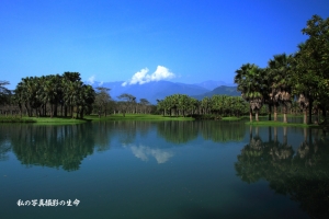花蓮雲山水