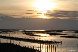 夕陽西下