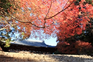 京都高雄神護寺