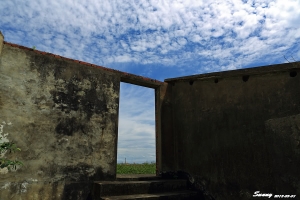 [5DIII]觀音.竹圍趴趴跑隨手拍