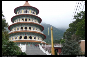 20090303_北新庄天元宮櫻花