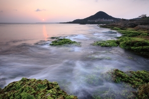 墾丁~~紫色迷情