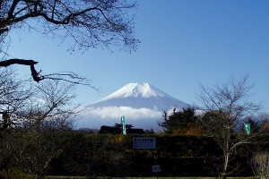 難得看見富士山