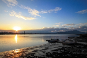 [夕景] 社子島敲烏龜