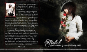 hidel album