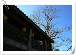 南庄一日遊