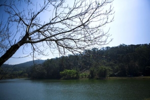 三義小西湖