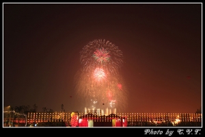 2008鼠年台灣燈會