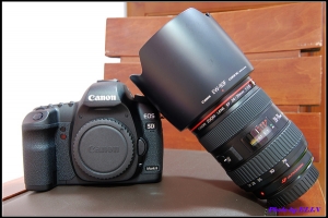 [遲來的開箱文]人生第一台全幅相機Canon 5D MARK II 和 Canon大